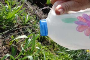watering with holes in a bottle top